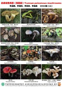 已有多人中毒！武汉疾控提醒：别吃 
