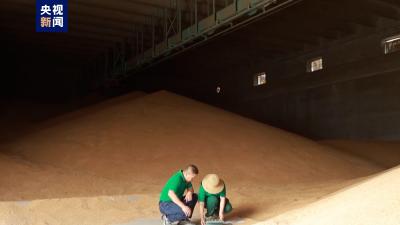 达预计收购量2倍以上！湖北夏粮收购仓容112亿斤  