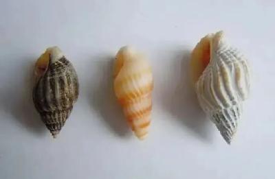 千万别碰！女子吃完心跳骤停，医生紧急提醒