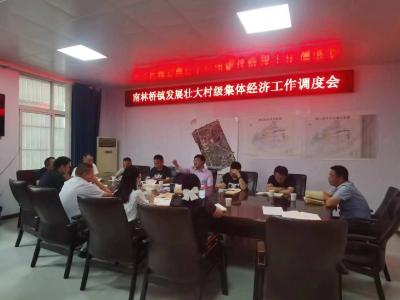  南林桥镇召开村级集体经济发展调度会