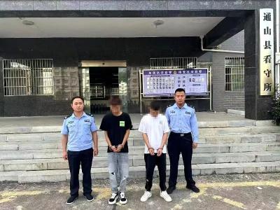 抓获4人！通山警方侦破倒卖“上头电子烟”案
