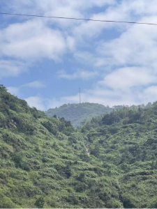 铁塔公司赋能九宫山自然保护区森林火灾高风险区综合治理工作  