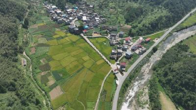 通山芭蕉湾：耕读传家的古村底色