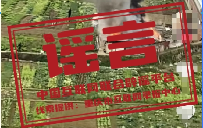 今日辟谣（2024年1月30日）