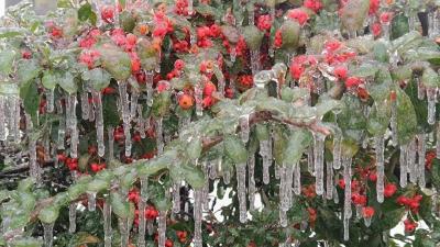 武汉新一轮降雪今晚到！湖北这些地方有暴雪