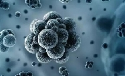 新方法鉴别出两种极端微生物 有助天体生物学家寻找外星生命
