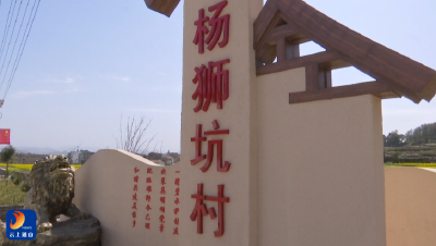 V视 | 大路乡杨狮坑村党支部书记余月来：“美丽经济”别样红