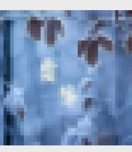 “霜降”的霜从哪“降”？露和霜又有什么区别？