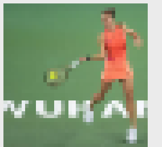 继续为郑钦文加油！今日武网赛程来了→ 