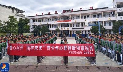 “青心相伴 团护未来”——通山县杨芳林乡中心小学开展心理健康游园活动