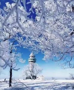 #吉致冰雪激情相约 丨看！冰雪王国里的“森林精灵” 