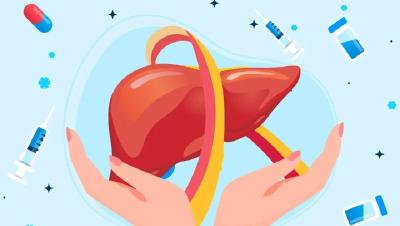 逆转肝部疾病 守护肝脏健康