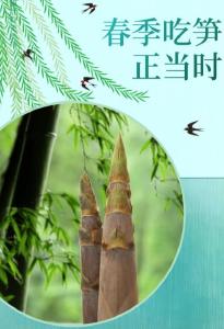 春季吃笋正当时 一不小心变“春损” 