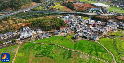 隐水风华