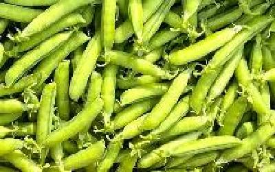 科学家破解豌豆七大性状基因之谜