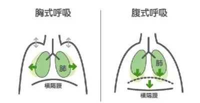 改成“腹式呼吸”后，睡眠不自觉变好了