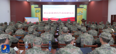 通山县开展普通民兵连（营）长集训