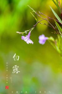 白露时节如何养生防病？国家卫生健康委给出指引