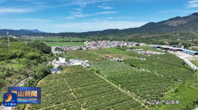 《学精神·谋发展——学习贯彻党的二十届四中全会精神》V视丨闯王镇：以万事有解思维 全力推动高质量发展