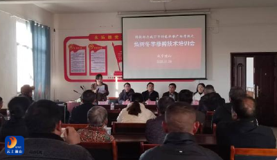 闯王镇：冬剪培训破难题 梨果提质有保障