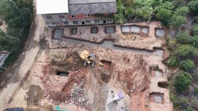 湖北通山：“金果”披“金衣” 产业焕新机