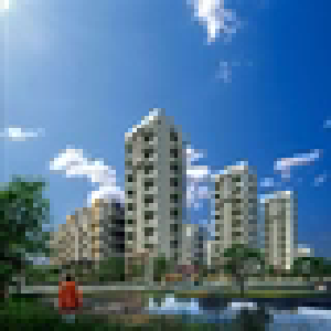 倪虹人民日报撰文：推动房地产高质量发展