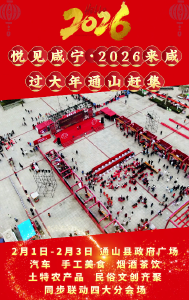 悦见咸宁·2026来咸过大年通山赶集活动将于2月1日—2月3日在政府广场盛大举行