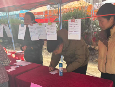 南林桥镇：年货赶大集 红娘送温情