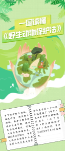 保护野生动物及鸟类 共筑生态屏障