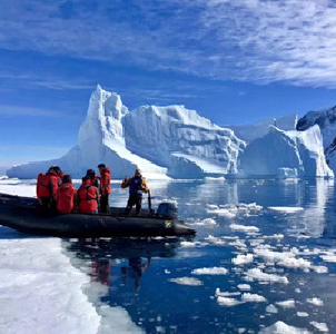 跨越三十余年！中国考察队与阿德利企鹅的南极之约