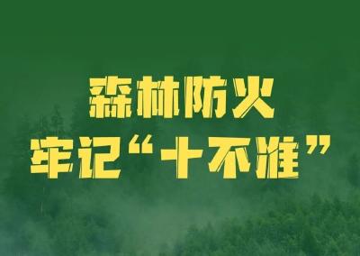 森林防火正当时！牢记“十不准”，别让森林“火”起来