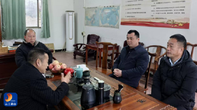 九宫山镇：党政人大齐发力 靠前服务跑出企业复工复产“加速度”