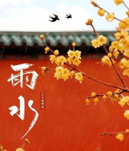 雨水逢初二，好运滚滚来！