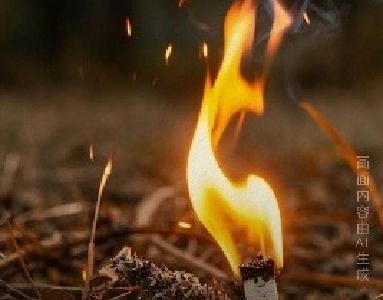 天干物燥，森林火灾防范意识要增强！ 