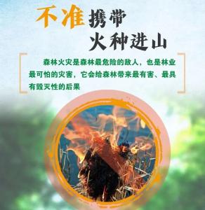 春季森林防火别大意，这份安全指南请查收！