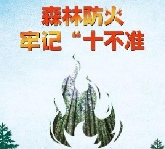 森林防火正当时，这些知识需牢记！ 