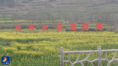 大路乡杨狮坑村积极筹备油菜花节活动