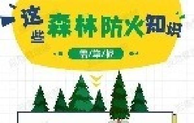 春季多大风，森林防火要注意！ 