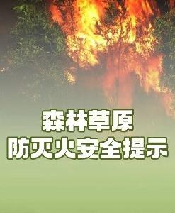 森林防火丨森林防火于未“燃”，紧绷“安全弦”！
