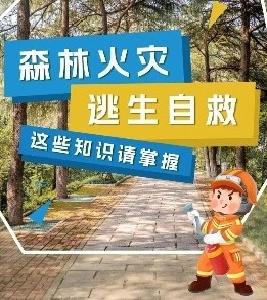 气温回升，别让森林“火”起来