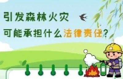 你有一份清明防火指南，请查收→