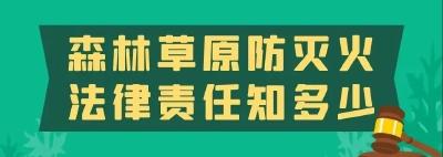 文明祭祀，防火先行，这份消防安全提示请收好！ 
