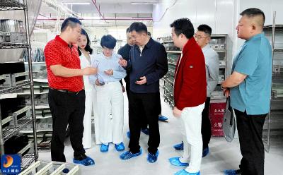 吴涛率队赴粤开展电子信息产业精准招商 深化以商招商路径 推动楚商回归投资