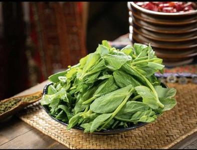 春日餐桌必备芽菜，这样吃营养又美味 