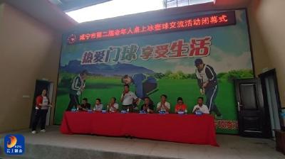 咸宁市第二届老年人桌上冰壶球交流活动在通山成功举办