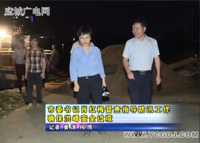 市委书记肖红梅督查指导防汛工作 确保洪峰安全过境