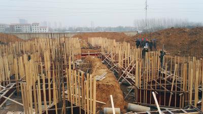 家和小区三期公租房项目桩基础钢筋隐蔽验收合格