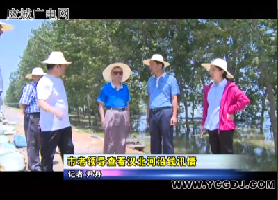 我市老领导查看汉北河沿线汛情