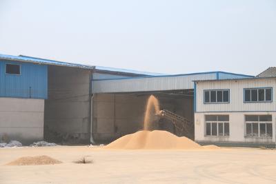 应城市粮食行业协会慰问受灾粮企