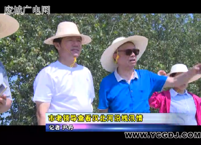 我市老领导查看汉北河沿线汛情